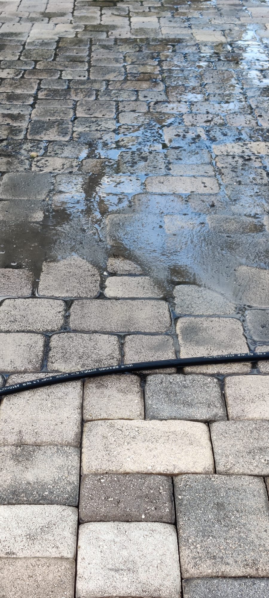 Professional paver sealing South Florida